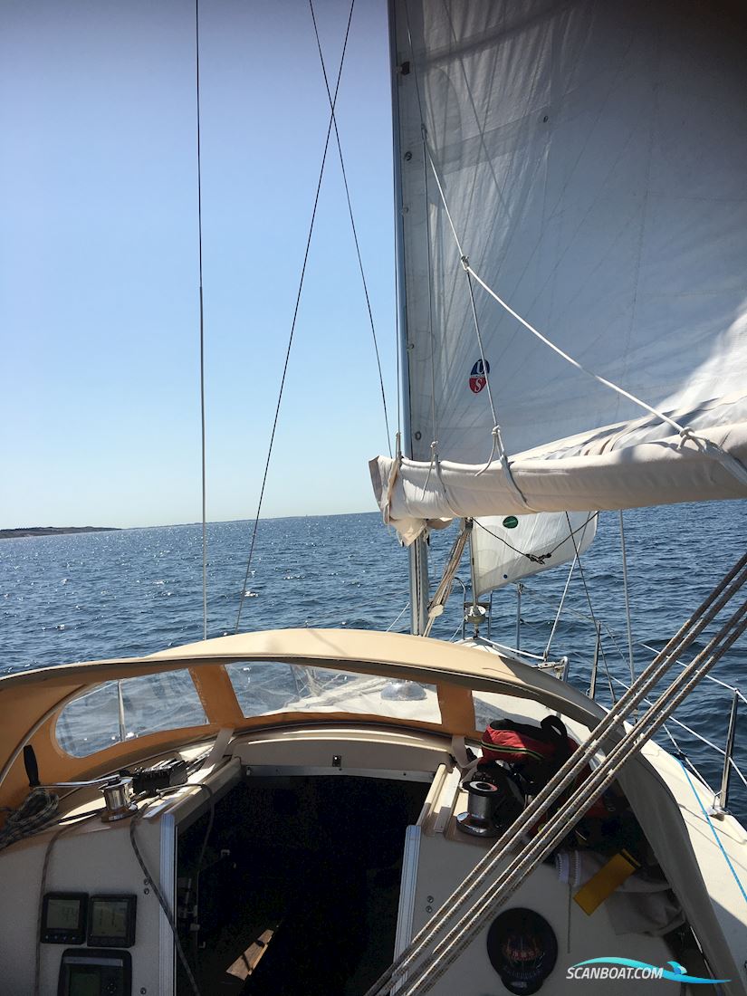Maxi Fenix