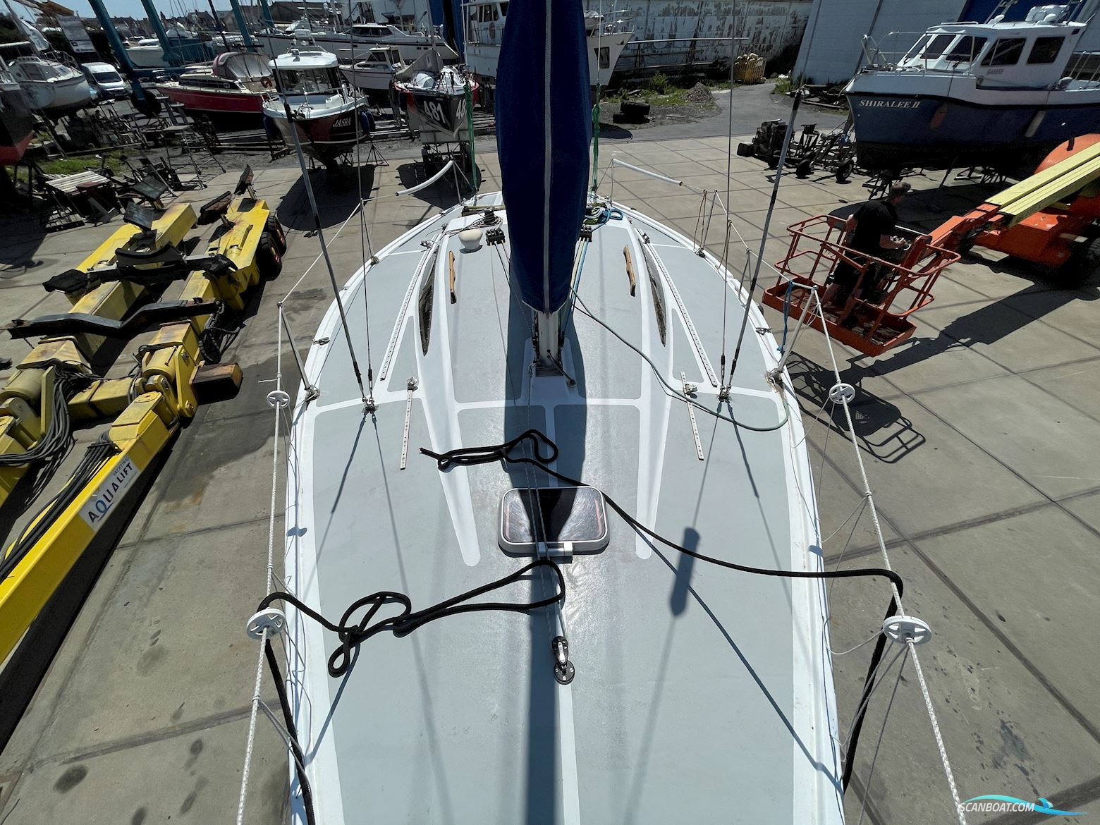 Michel Joubert Extra Paulette ¼ Tonner