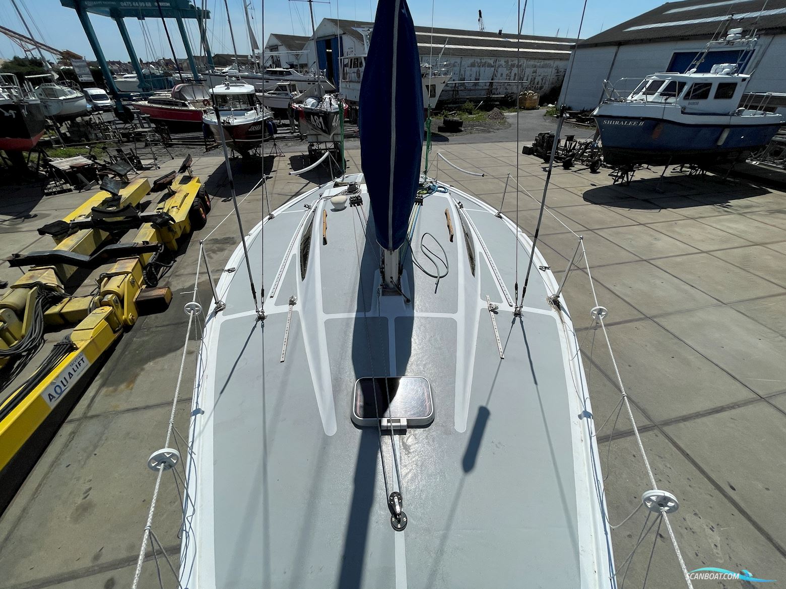 Michel Joubert Extra Paulette ¼ Tonner