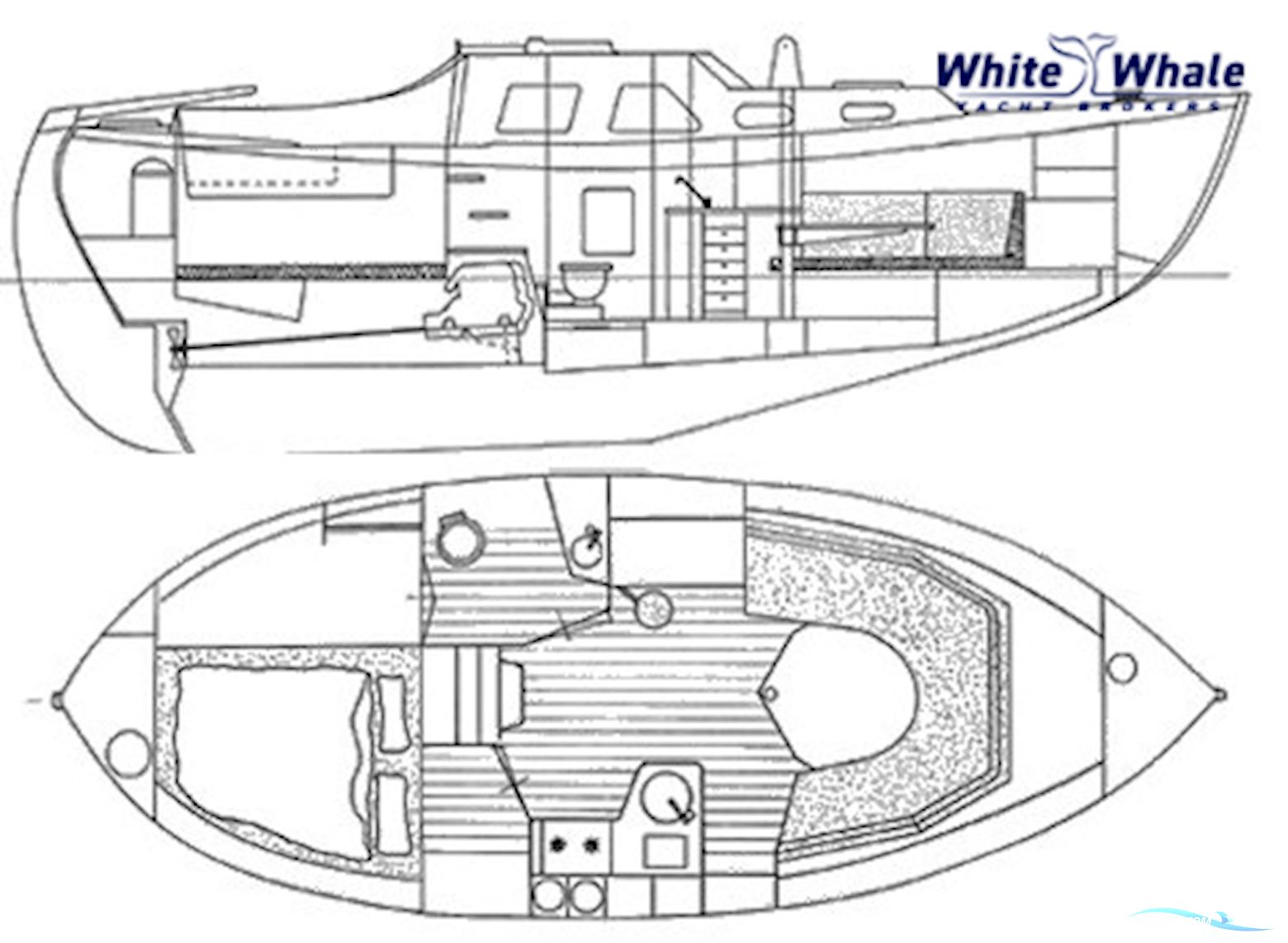 Midget 31