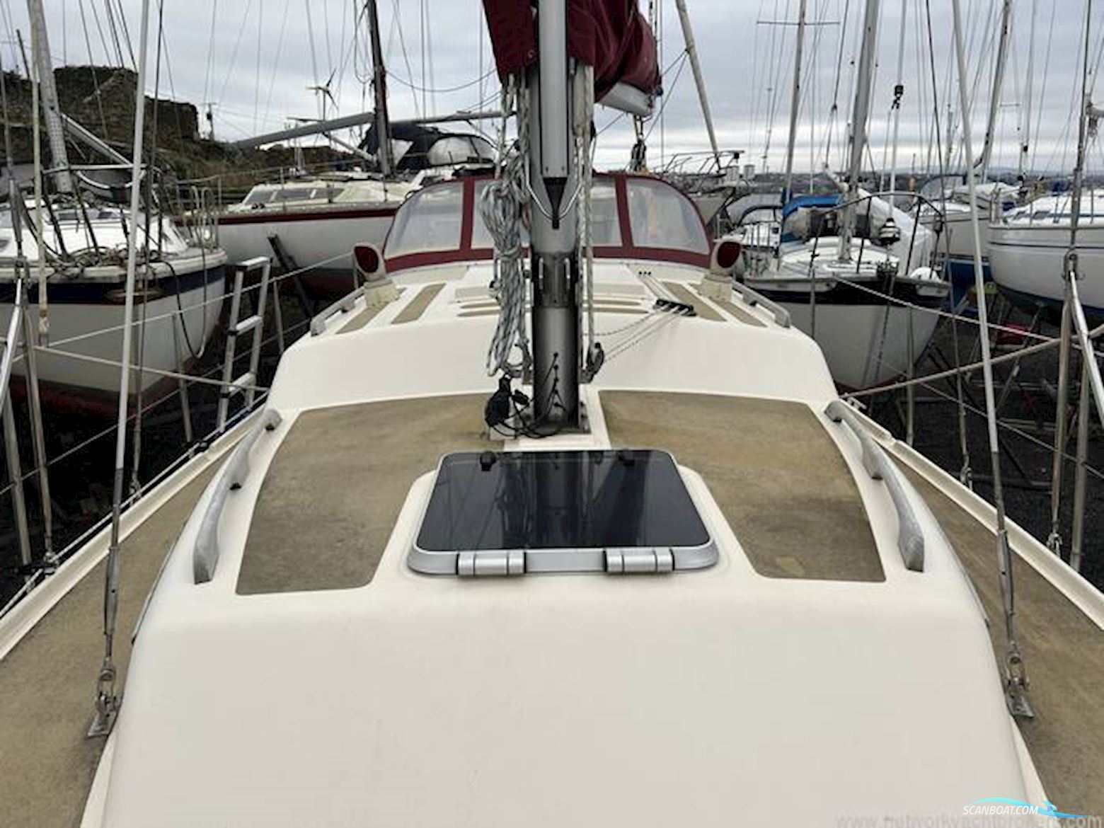 Midget 31