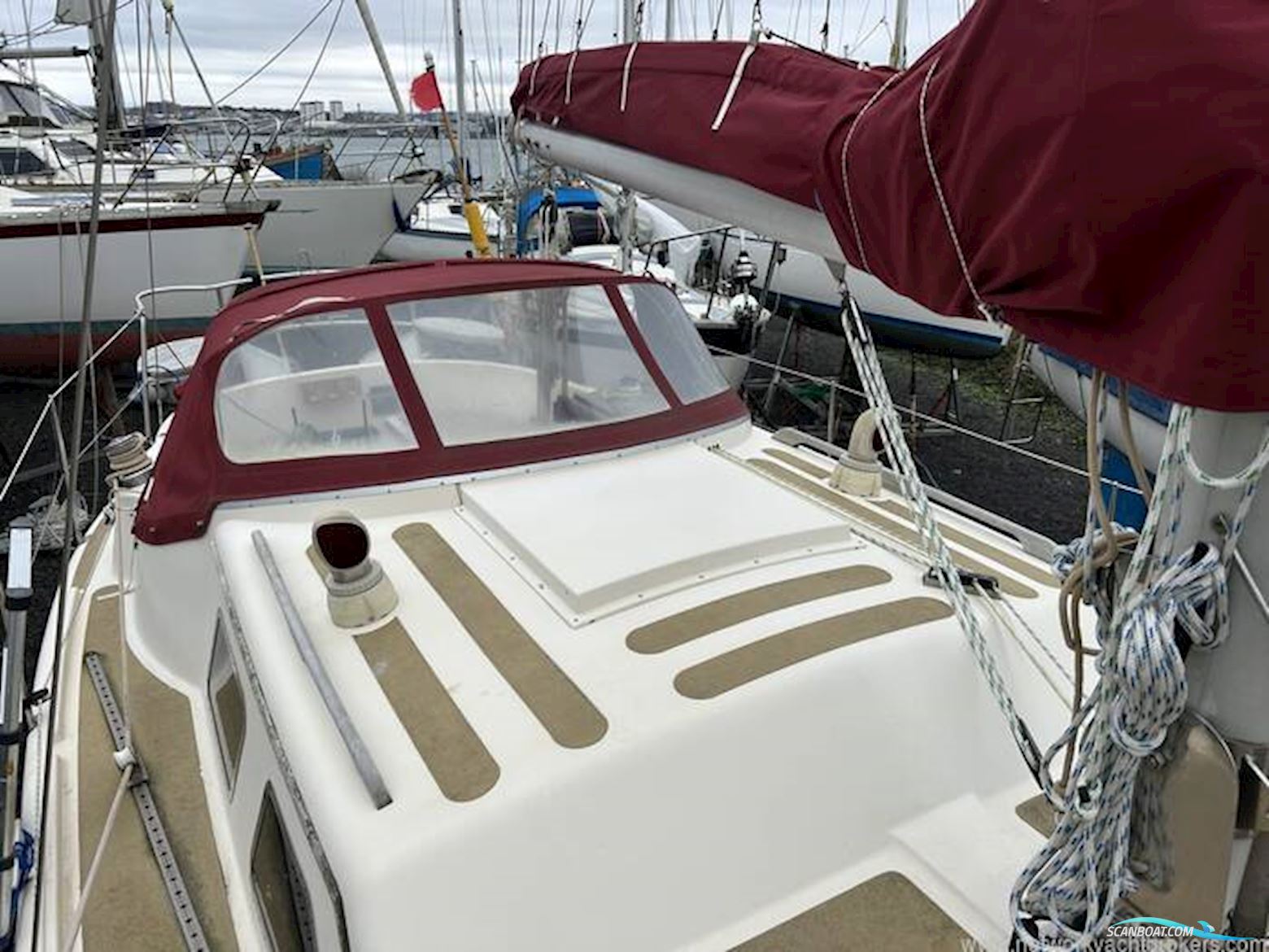 Midget 31
