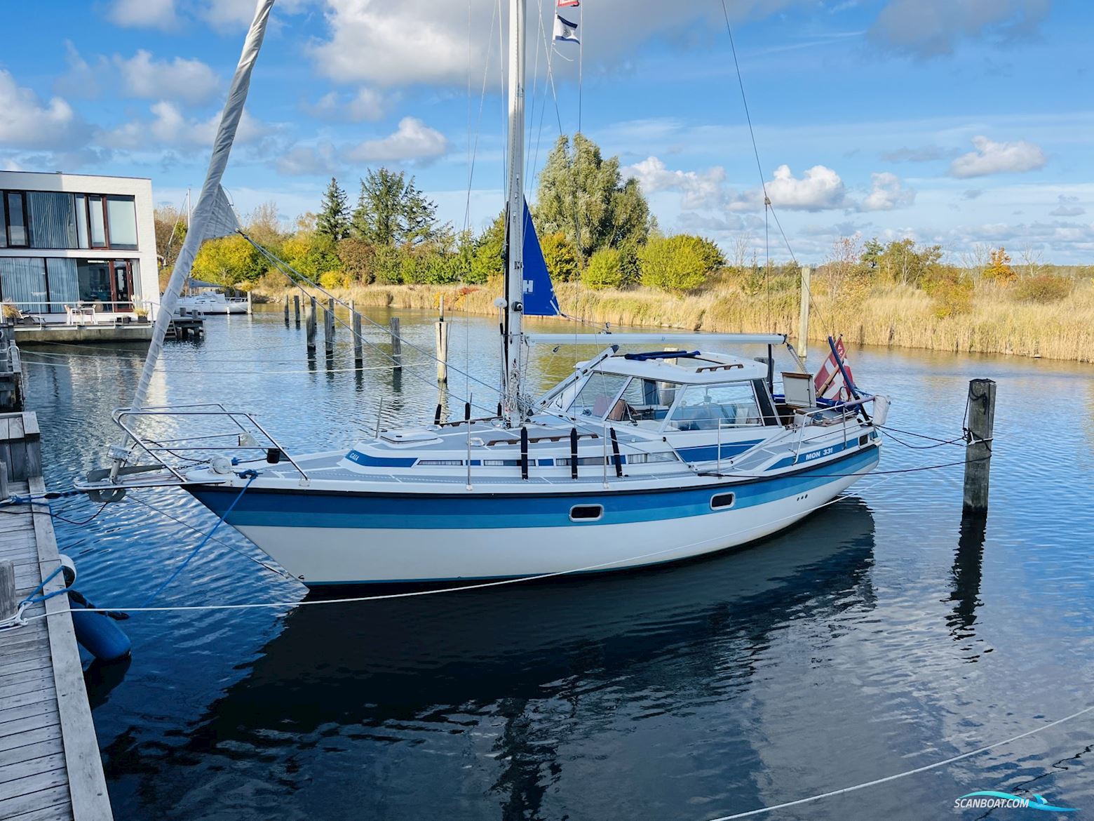 Møn 331