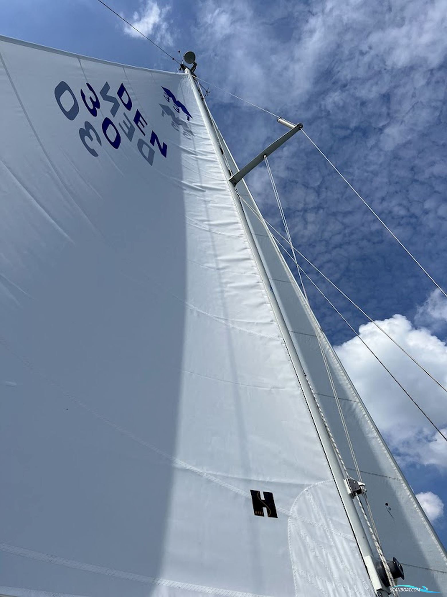 Møn 331
