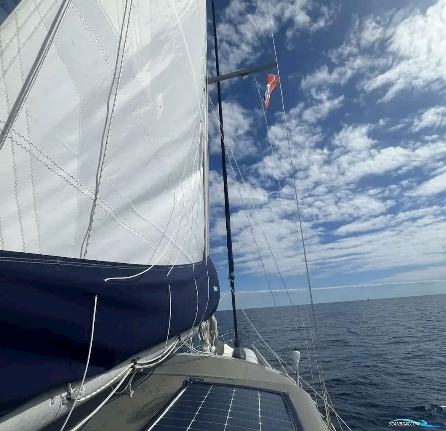 Morgan 41