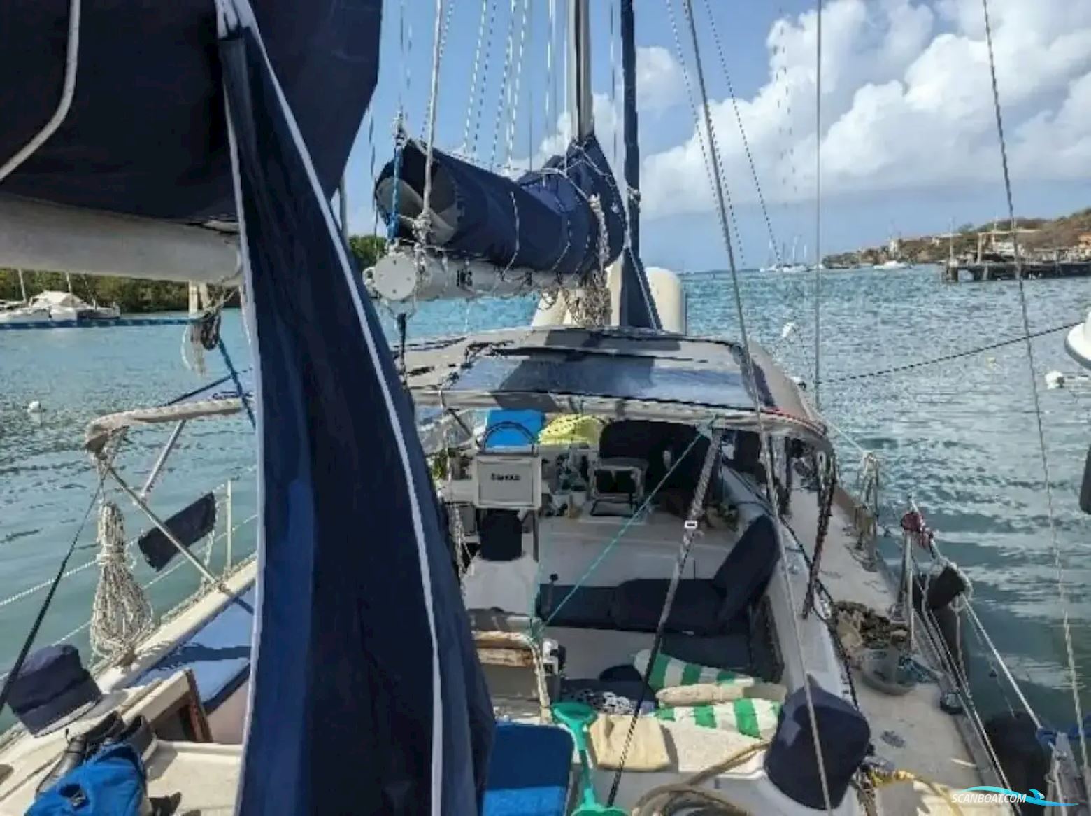 Morgan 41