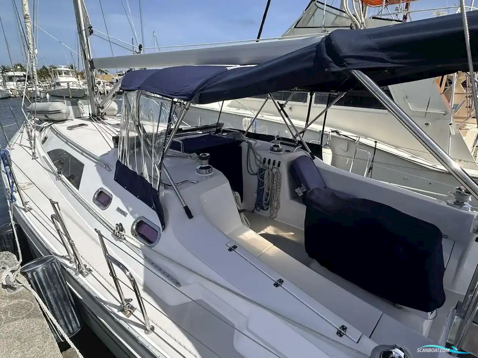 Morgan 44