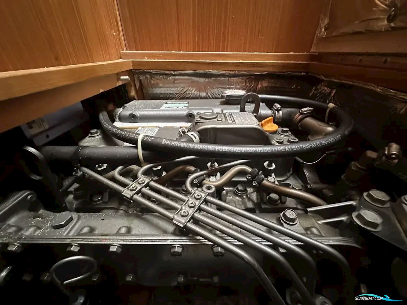 Morgan 44