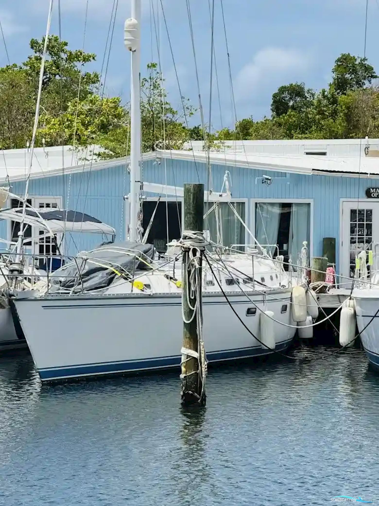 Morgan 45