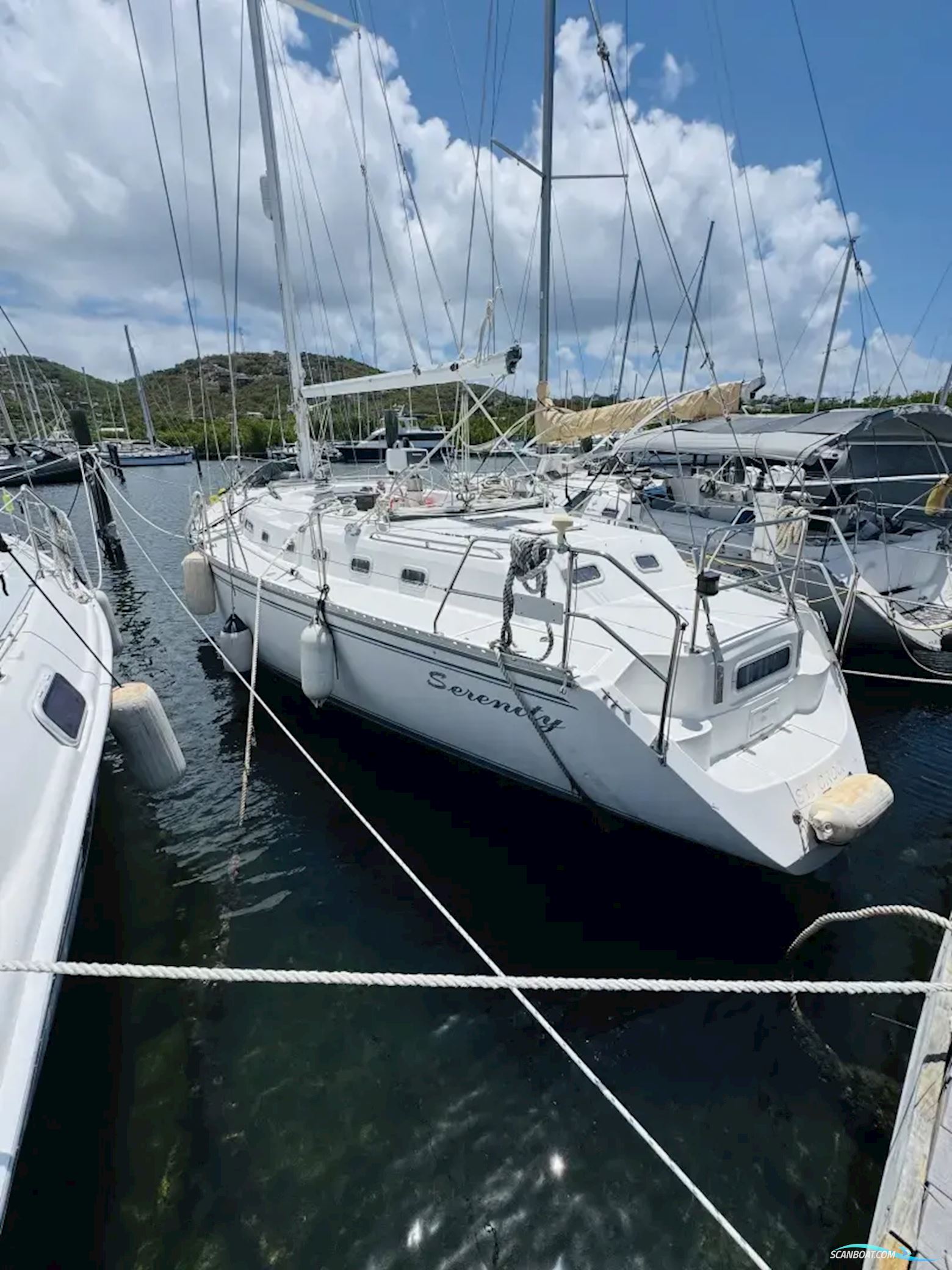 Morgan 45