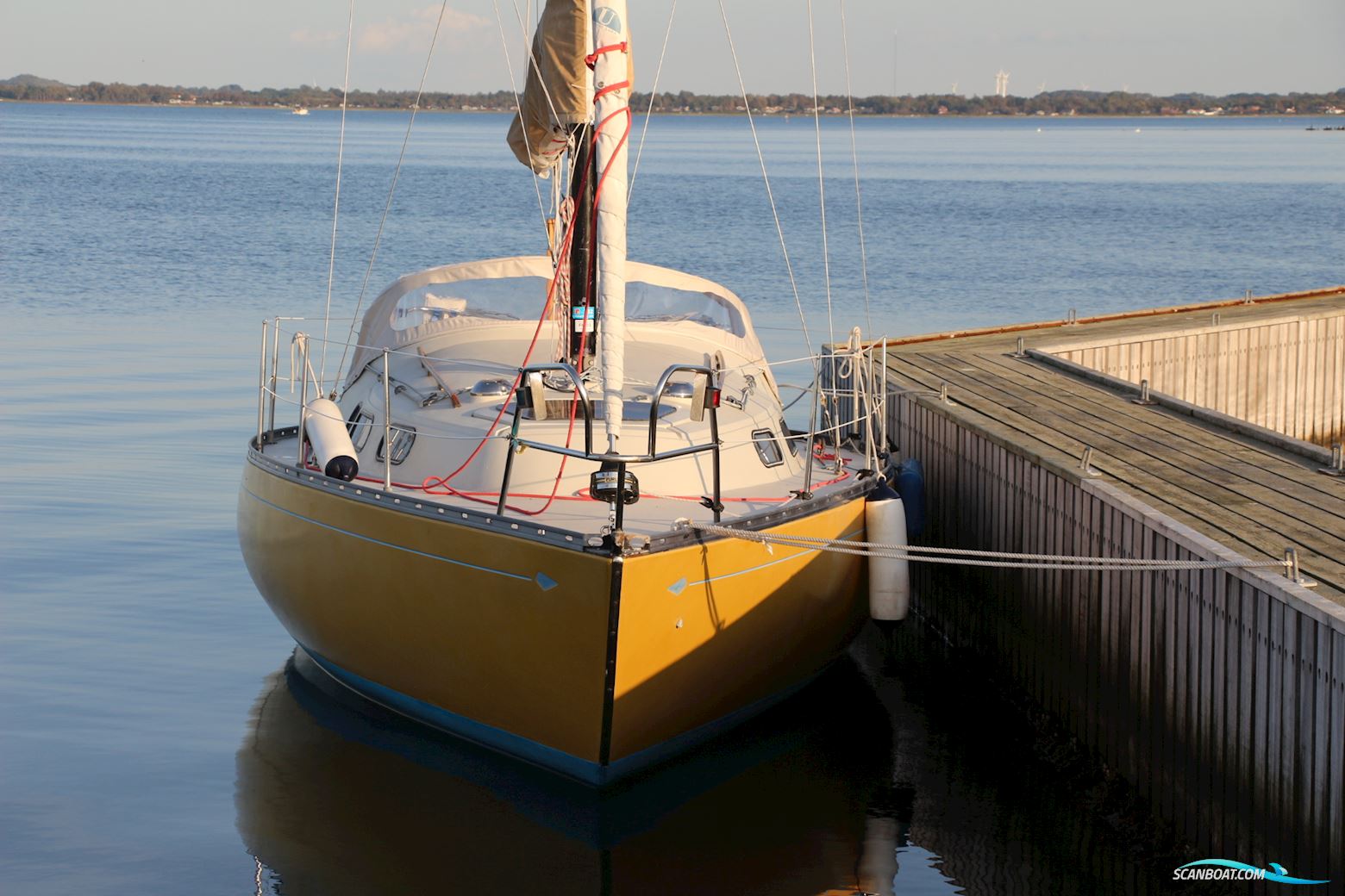 Murena 30