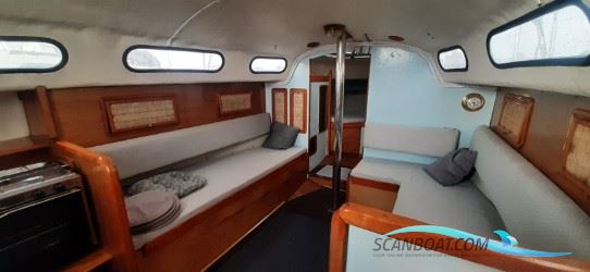Murena 30