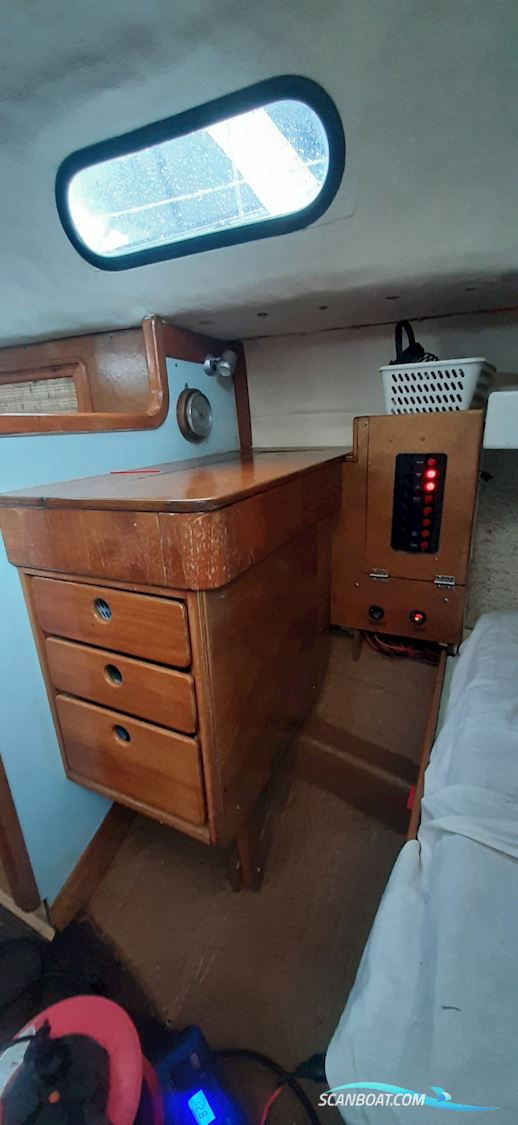 Murena 30