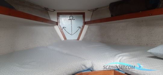 Murena 30
