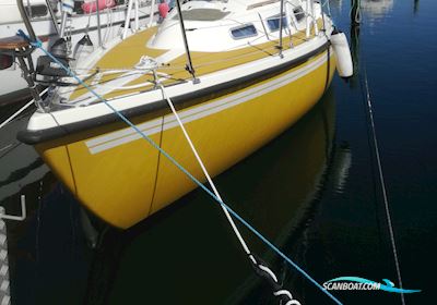 Naver29 Zeilboten 1976, met Bukh  10hk motor, Denemarken