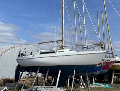 Nicholson 30 Zeilboten 1972, met Beta motor, Ierland