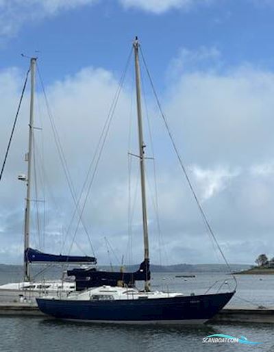 Nicholson 32 Mk. X Zeilboten 1972, met Sabb motor, Ierland