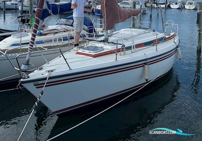 Nordship 808 Zeilboten 1987, met Nanni motor, Denemarken