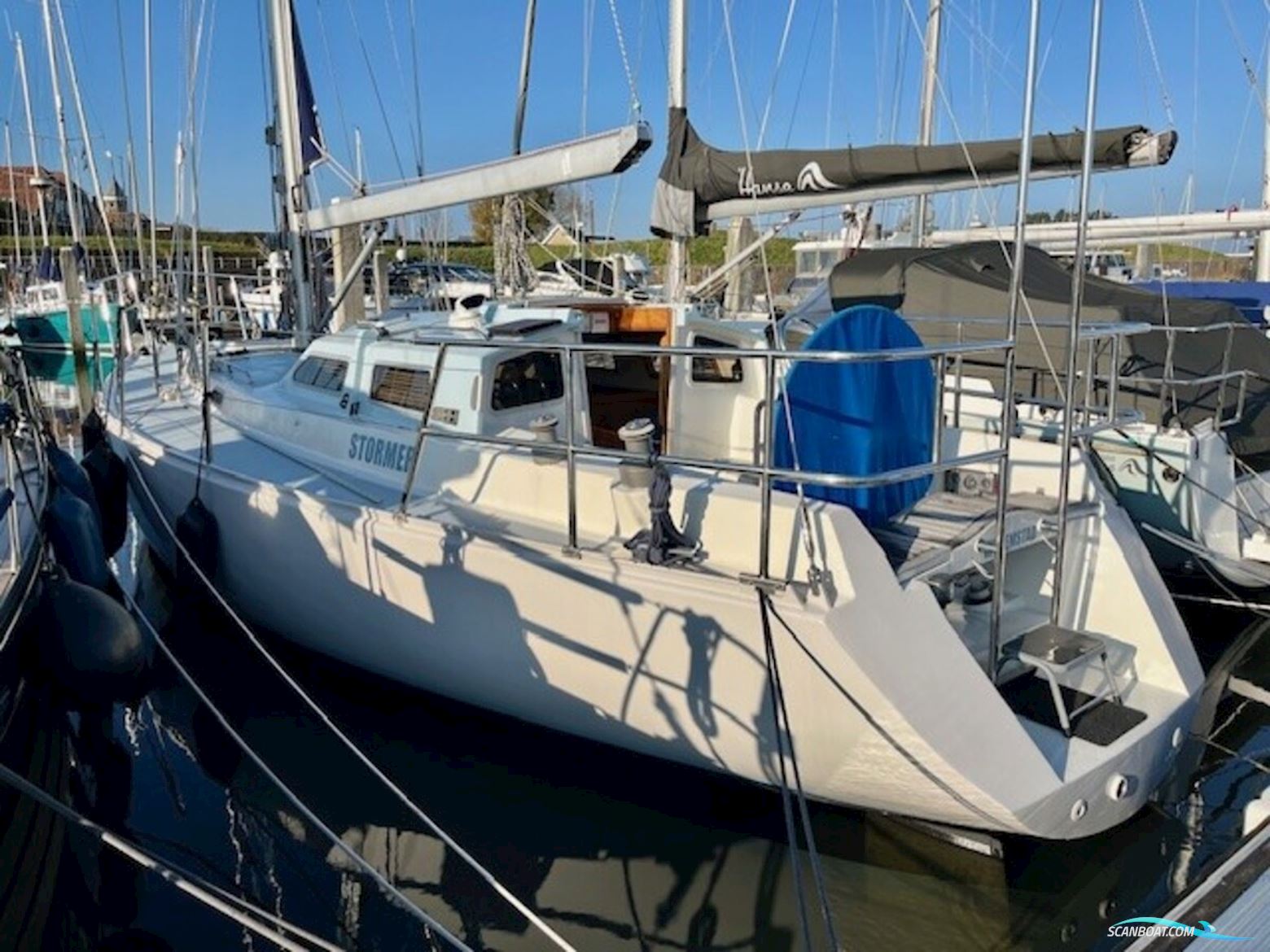 Northern Comfort 43