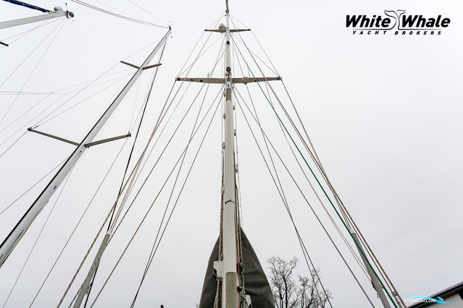 Northern Comfort 43