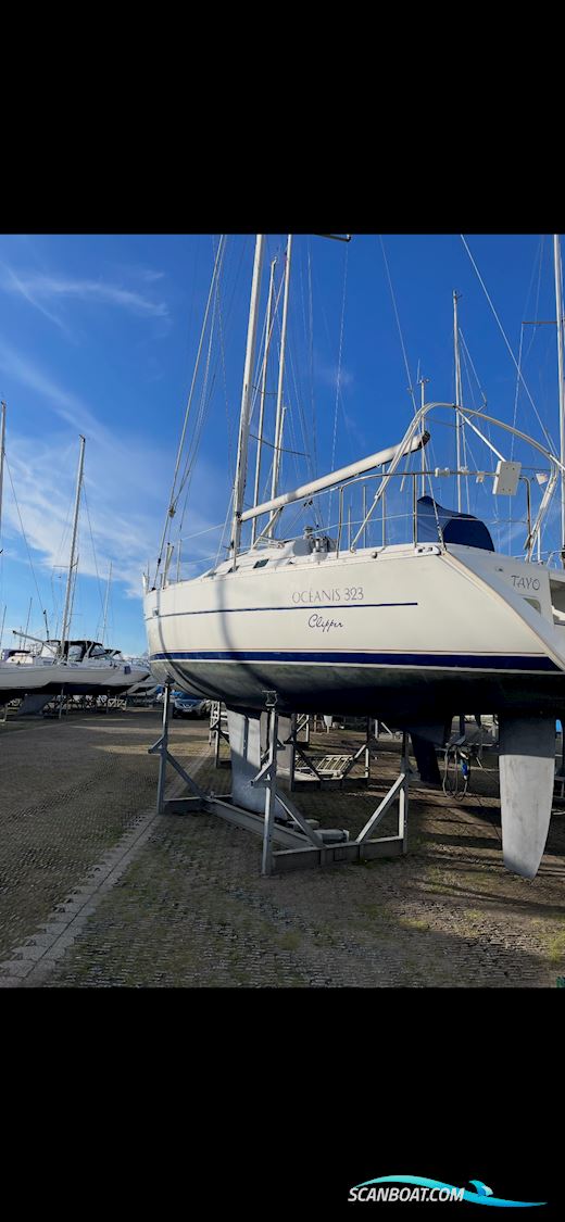 Oceanis 323