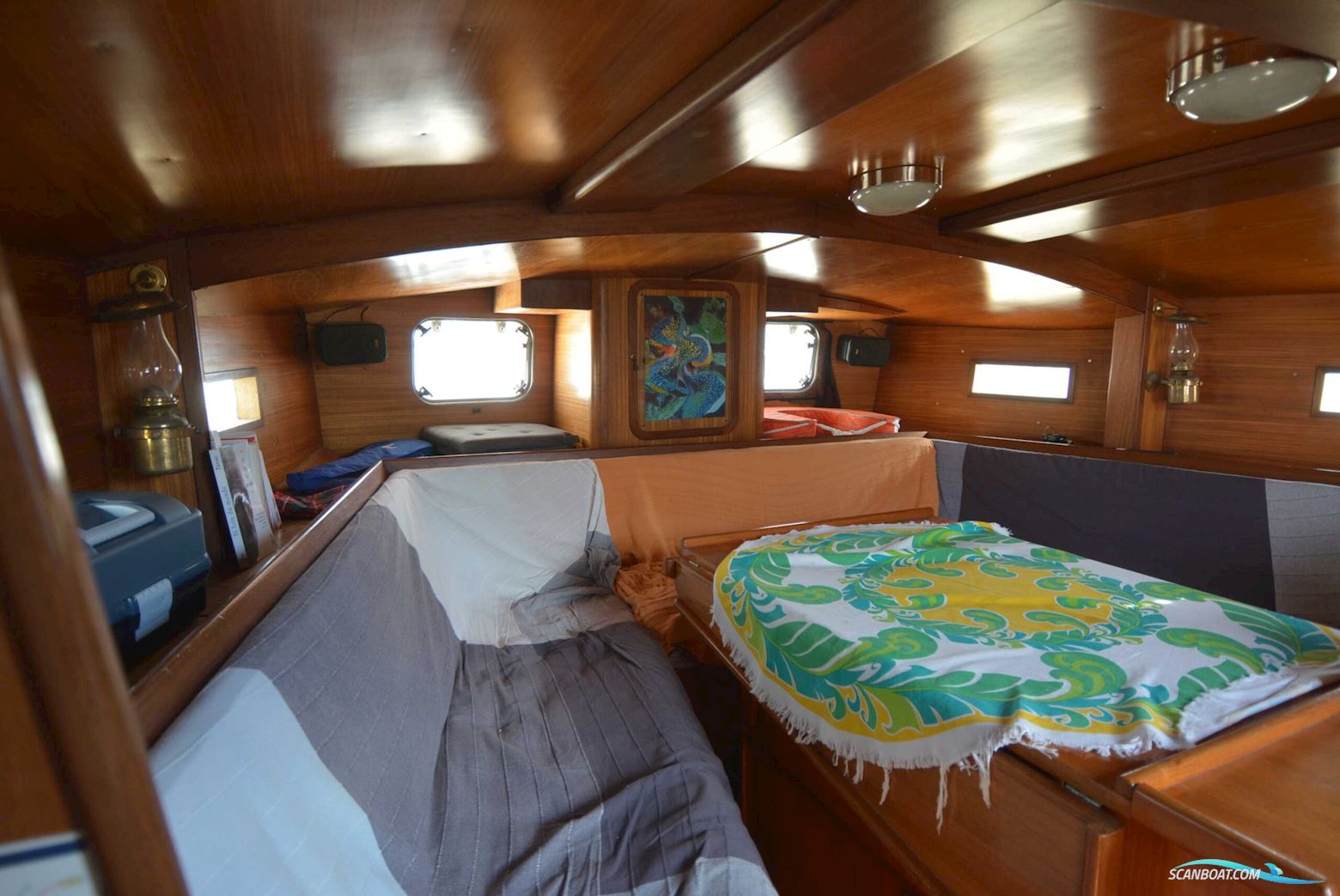 OMN DI COLAN MARCO REVE DES TROPÏQUES