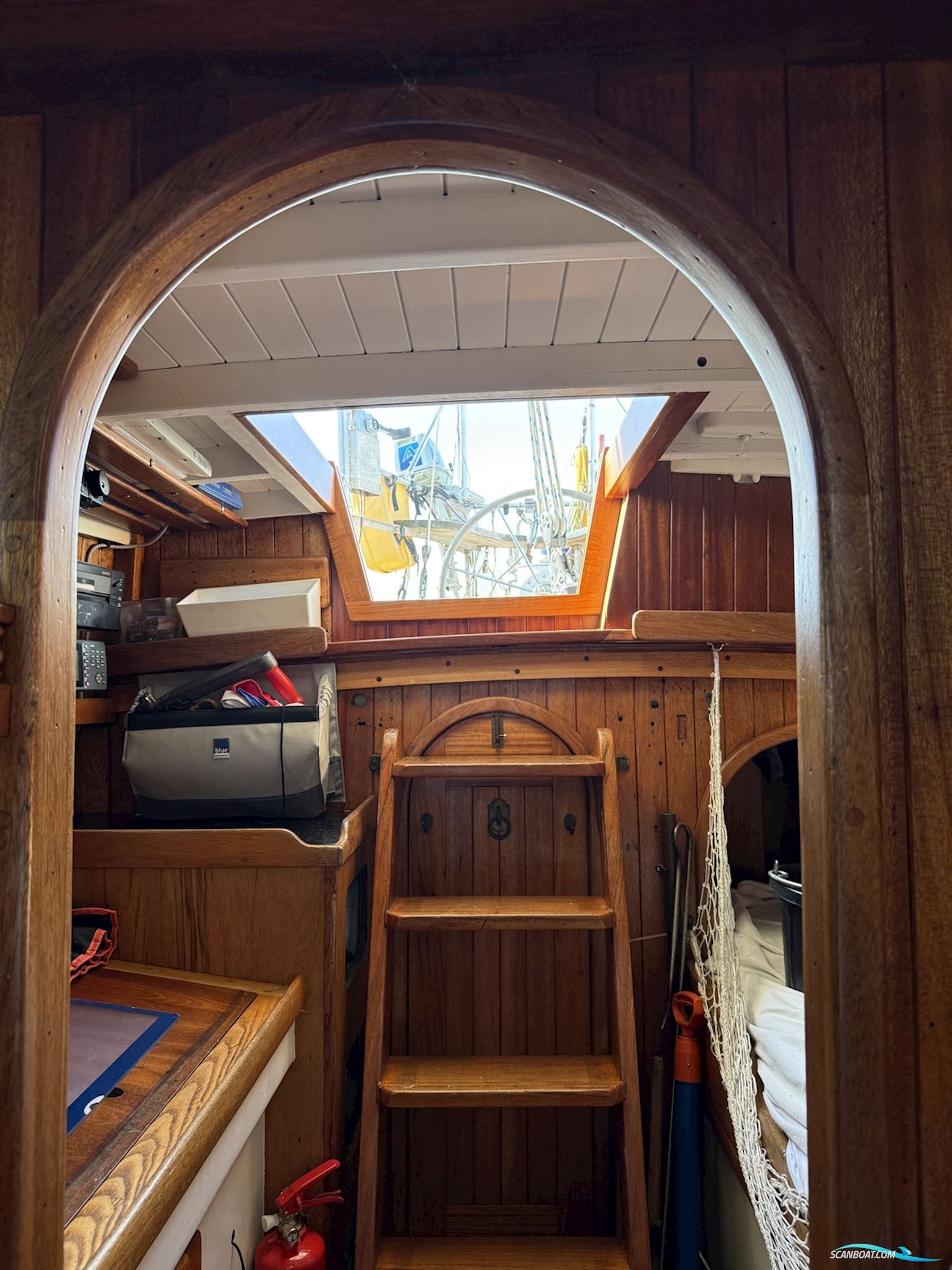 Orca 38