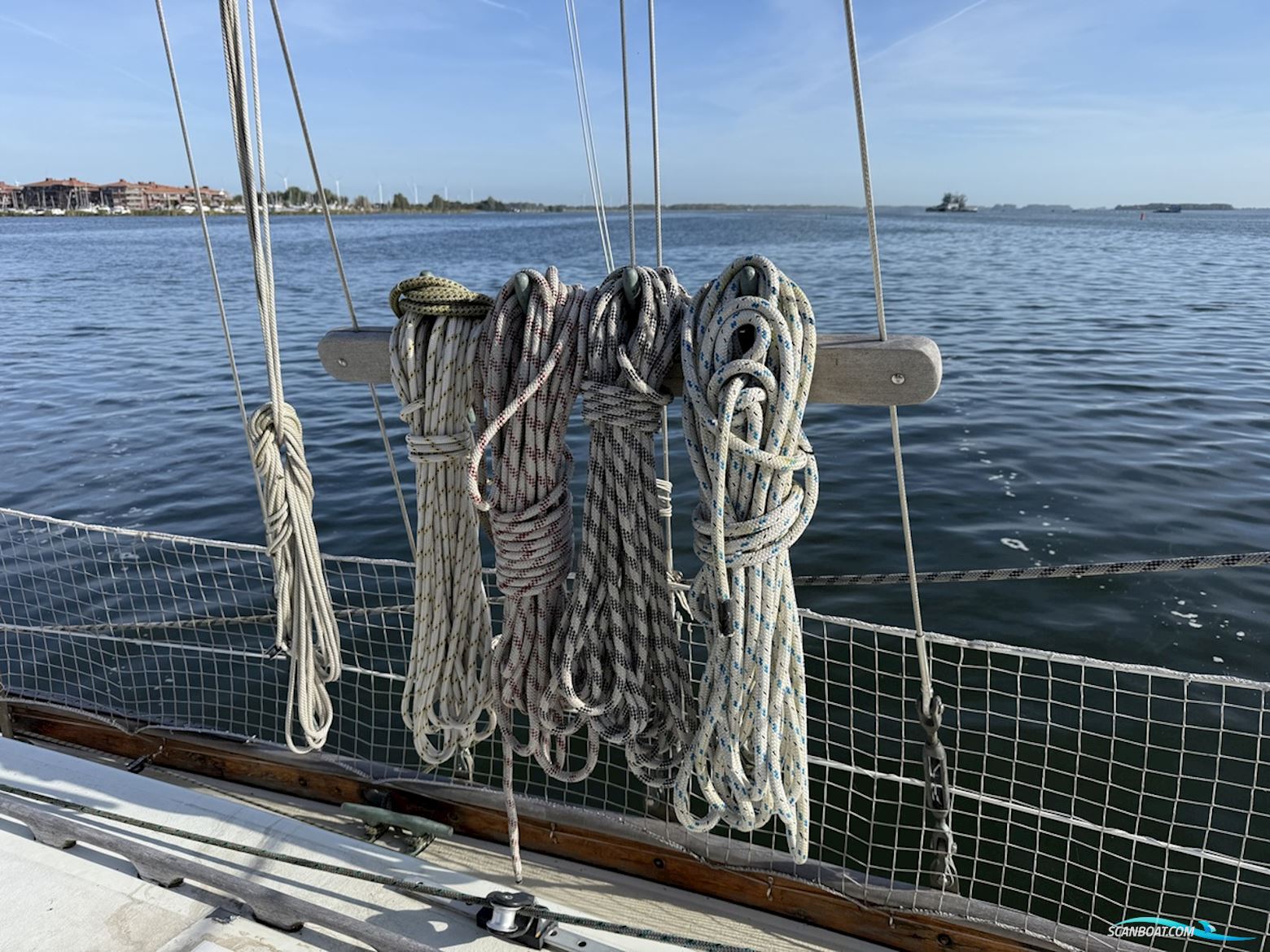 Orca 38