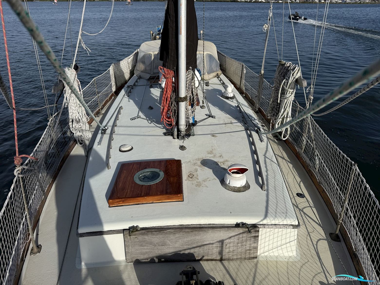Orca 38