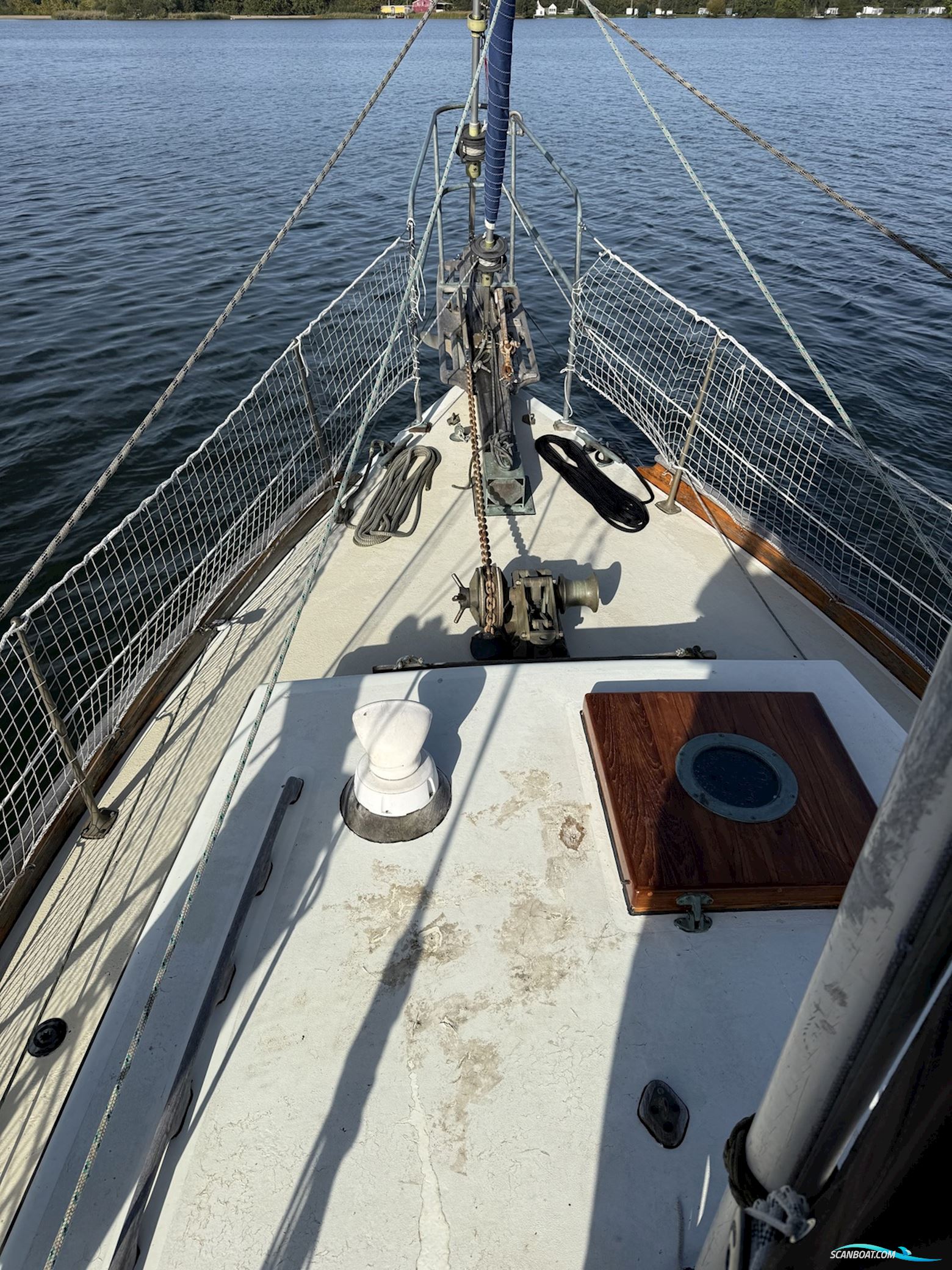 Orca 38
