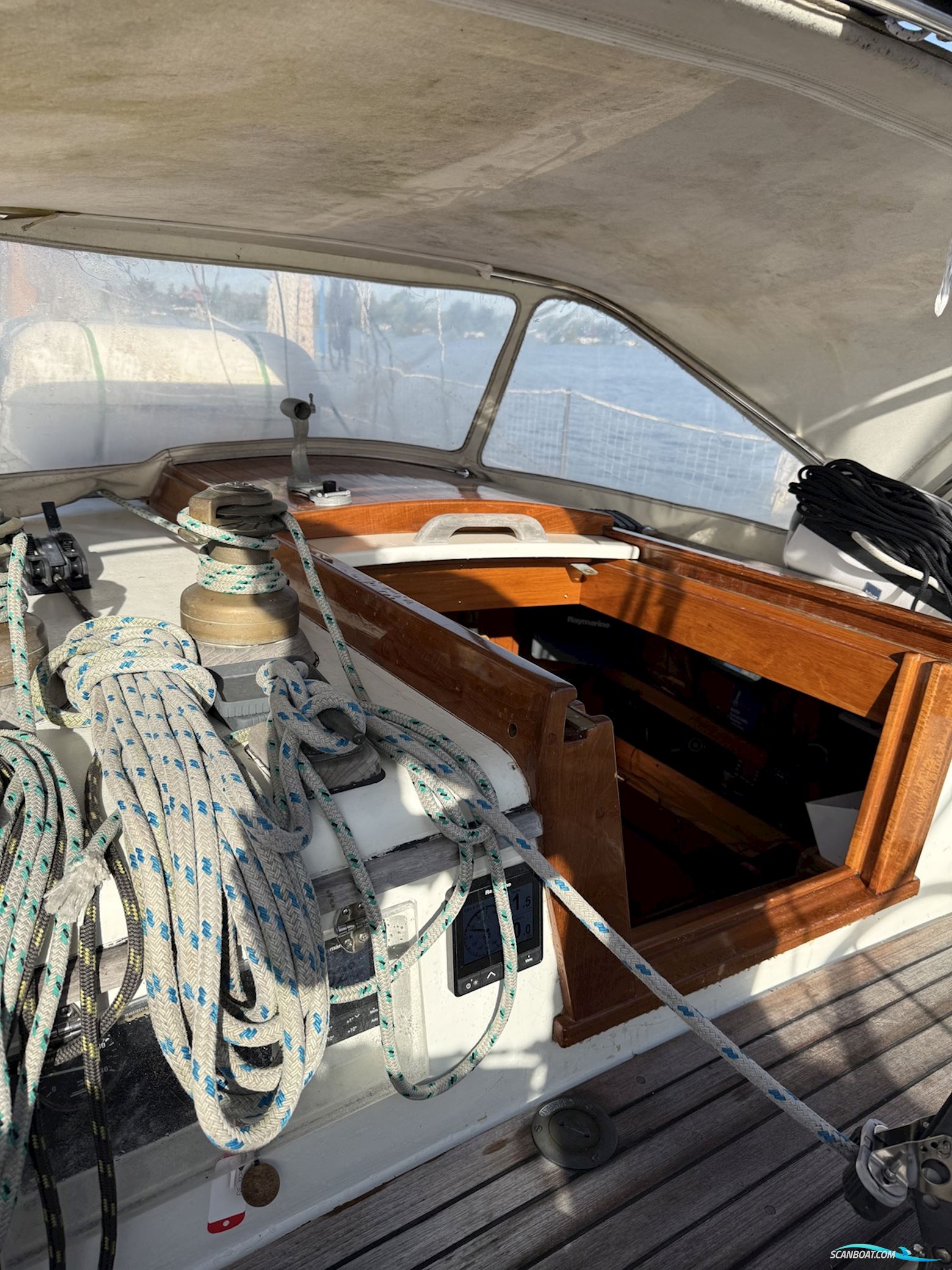 Orca 38