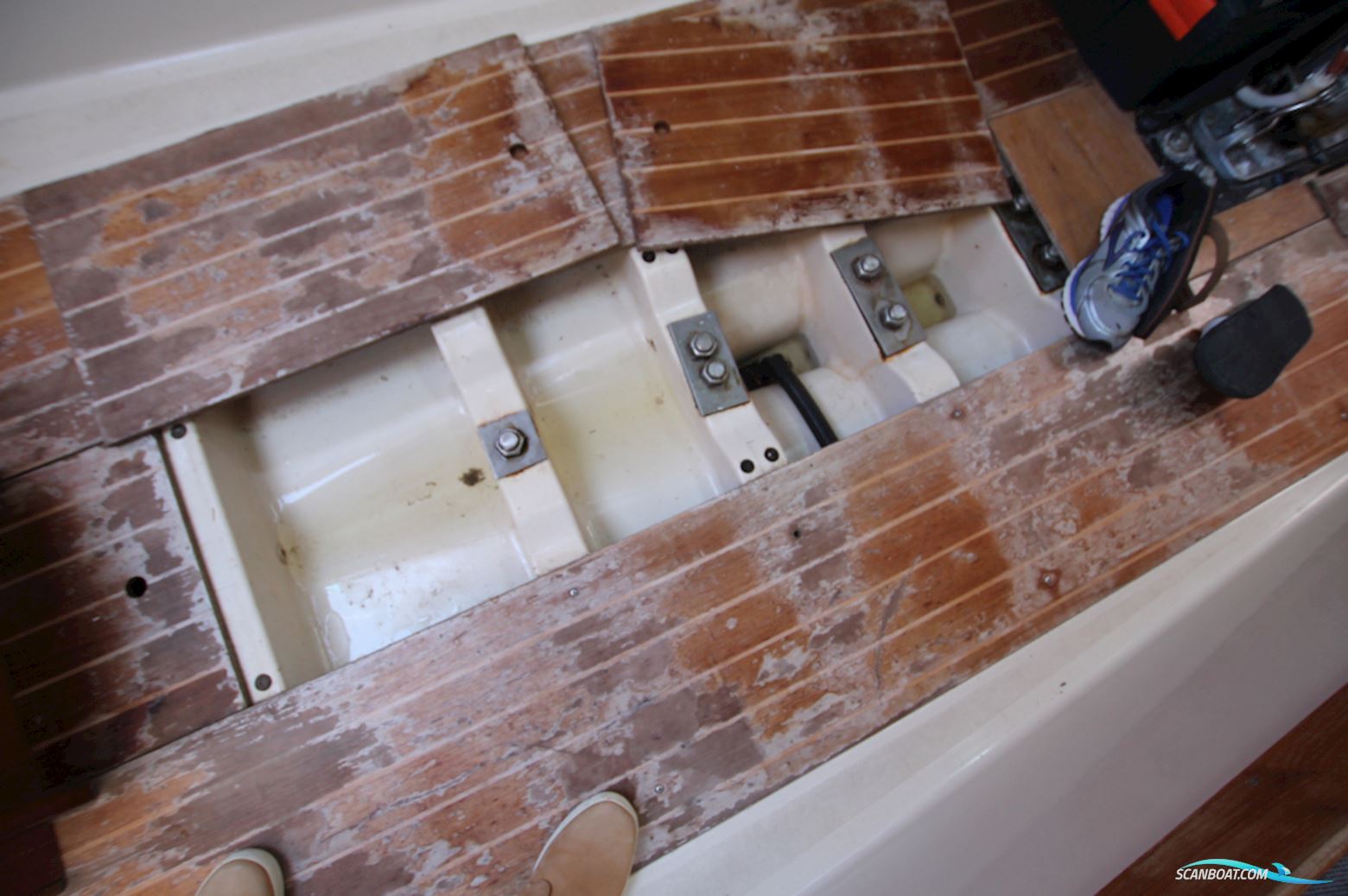 Oyster Lightwave 395 Project