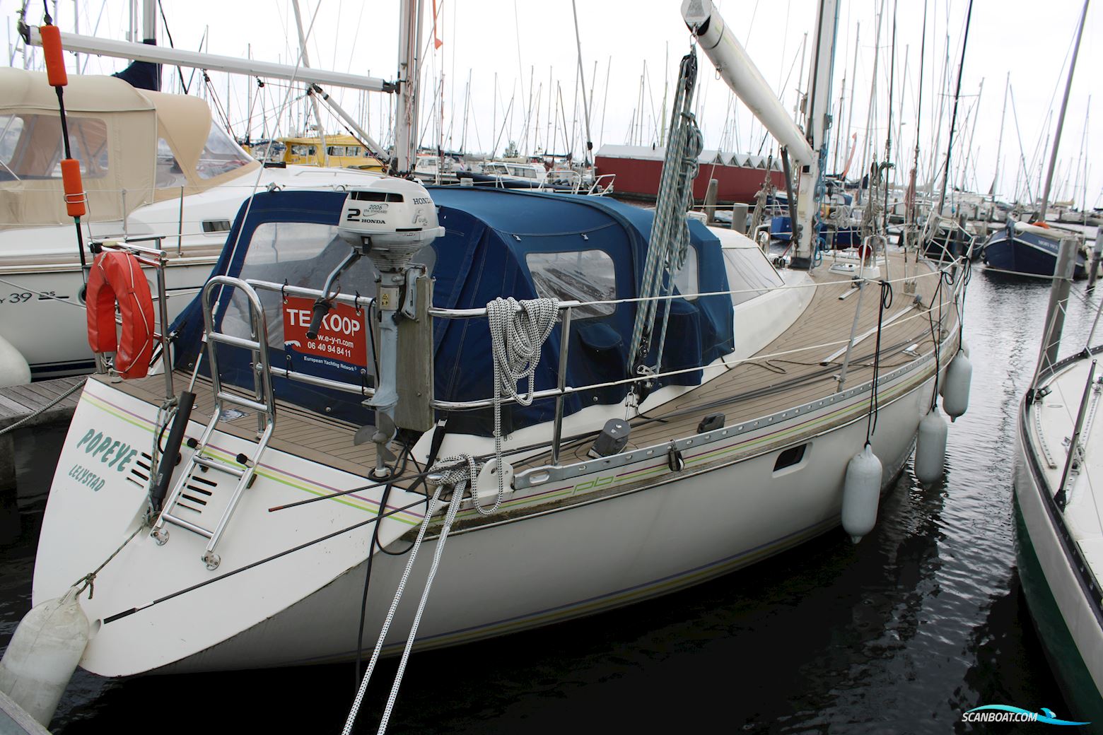 Pieter Beeldsnijder 40