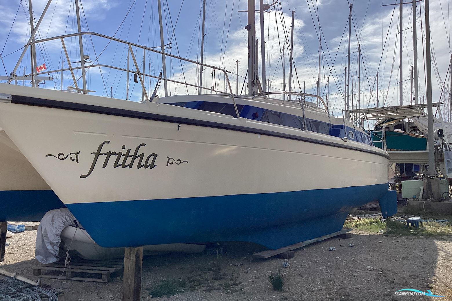 Prout Snowgoose 37 Elite