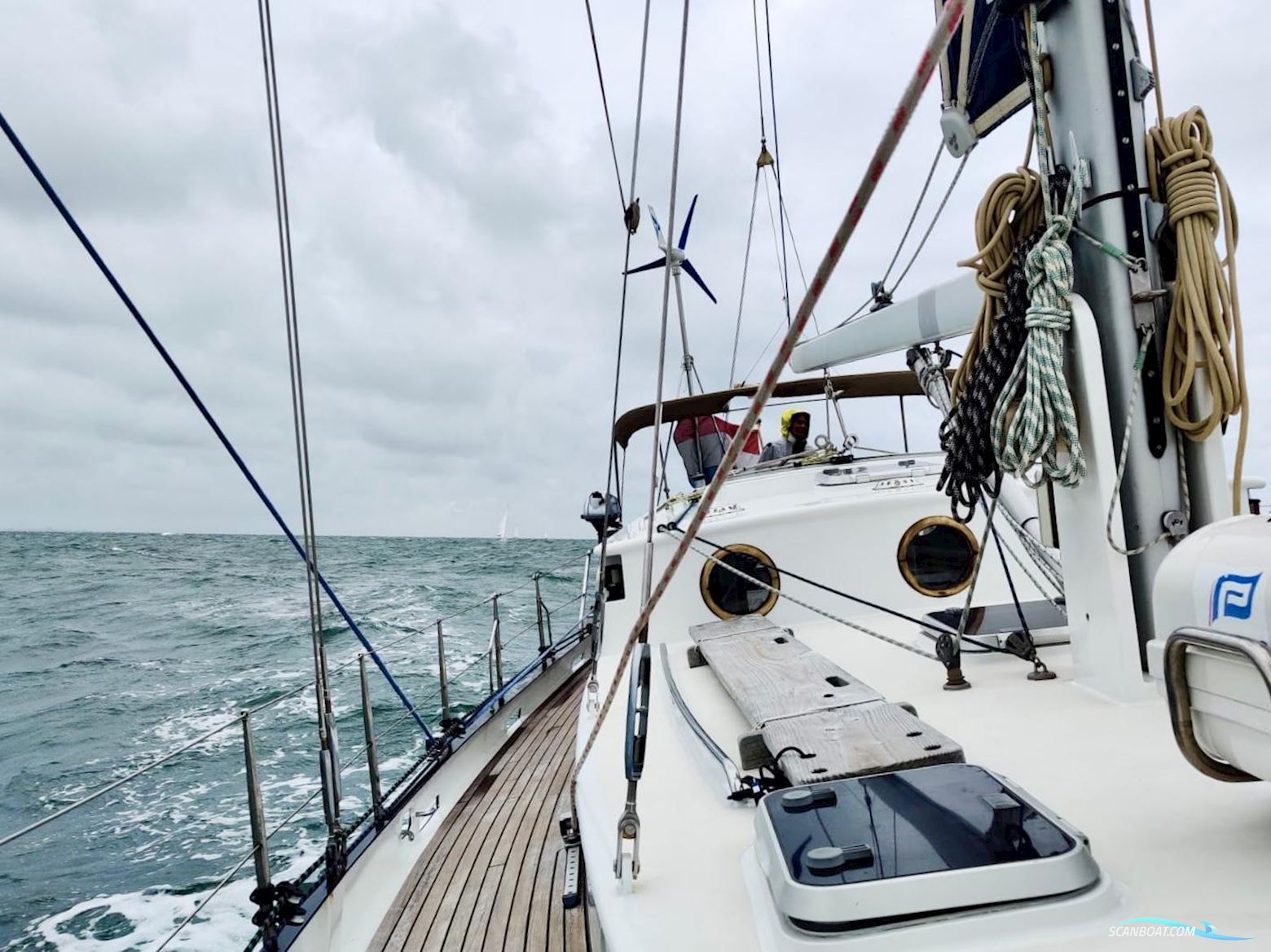 Puffin 42