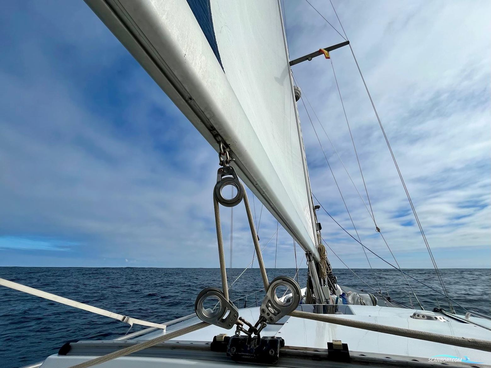 Puffin 42