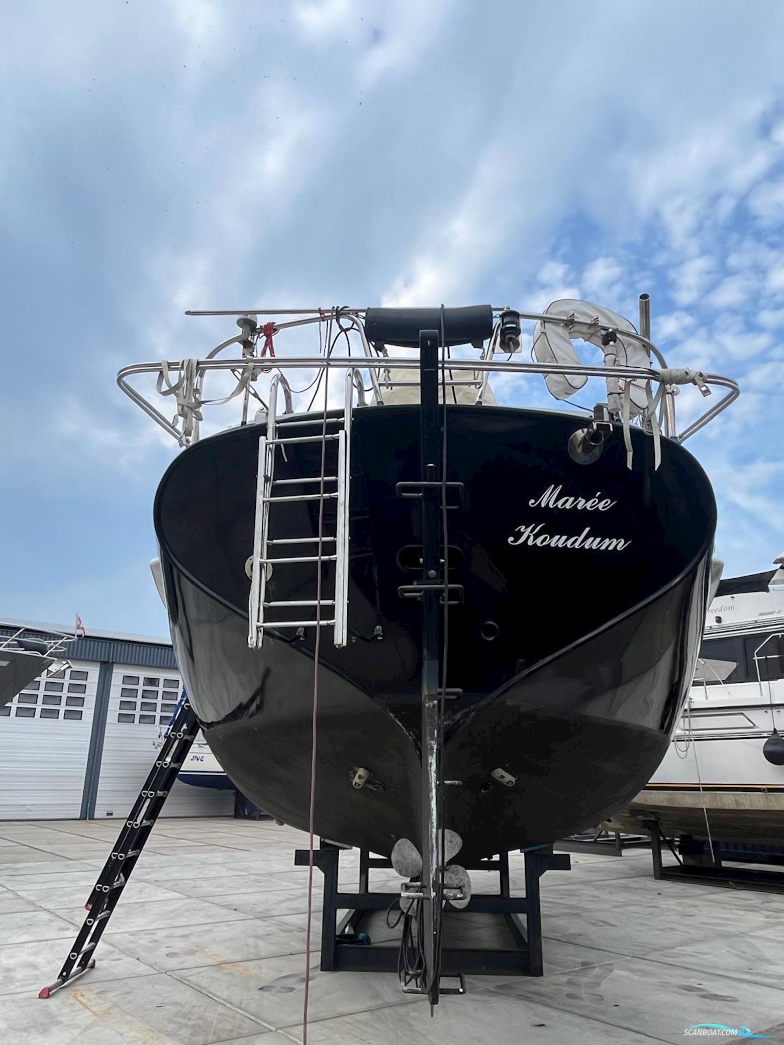 Puffin 42