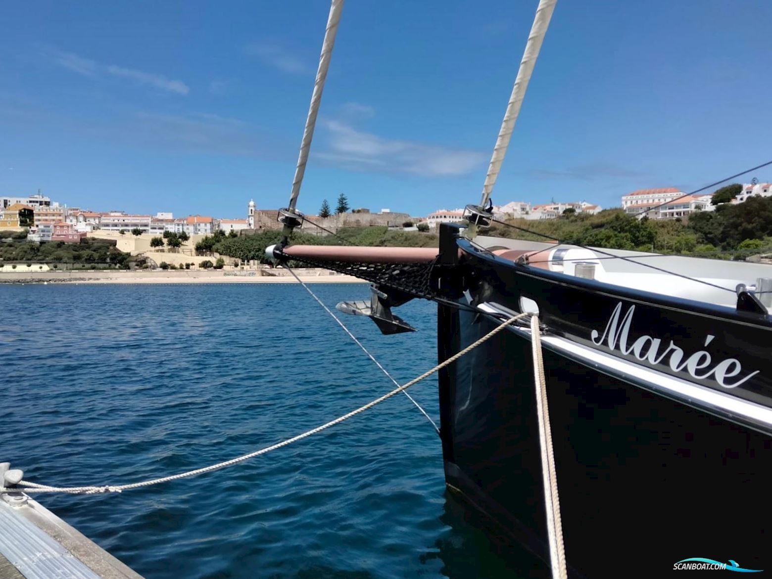 Puffin 42