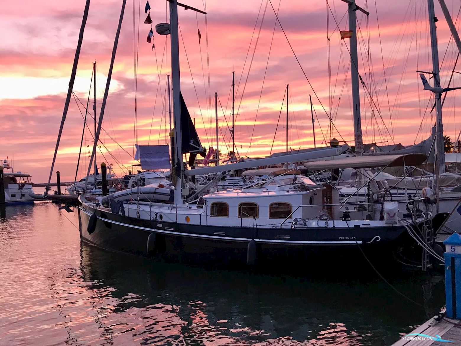 Puffin 42