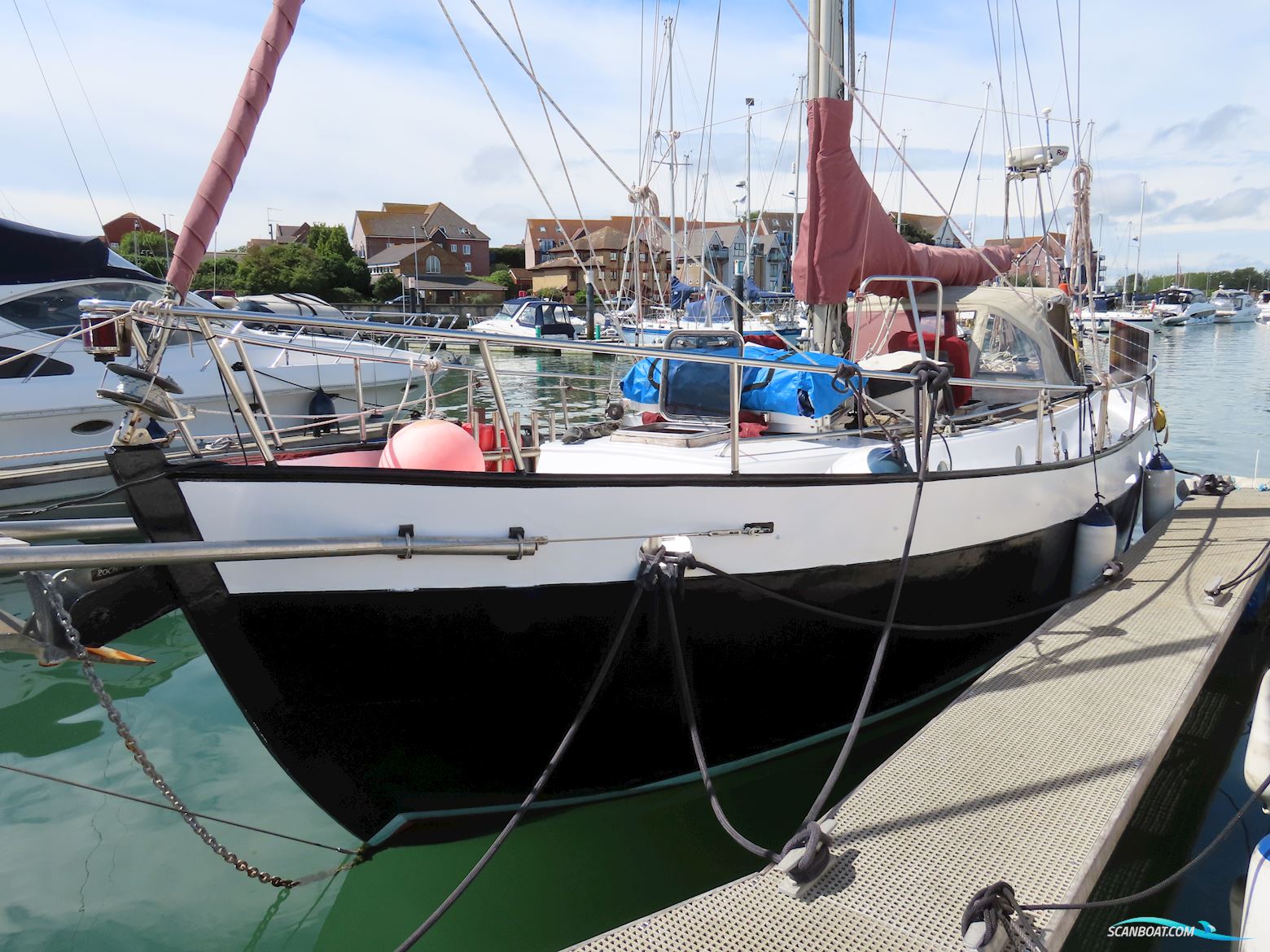 Rajo 37