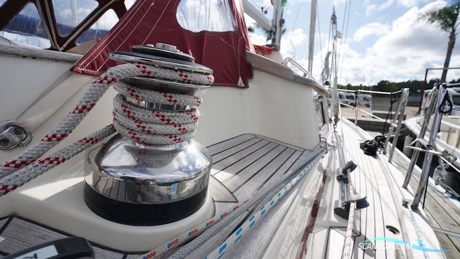 Regina 38