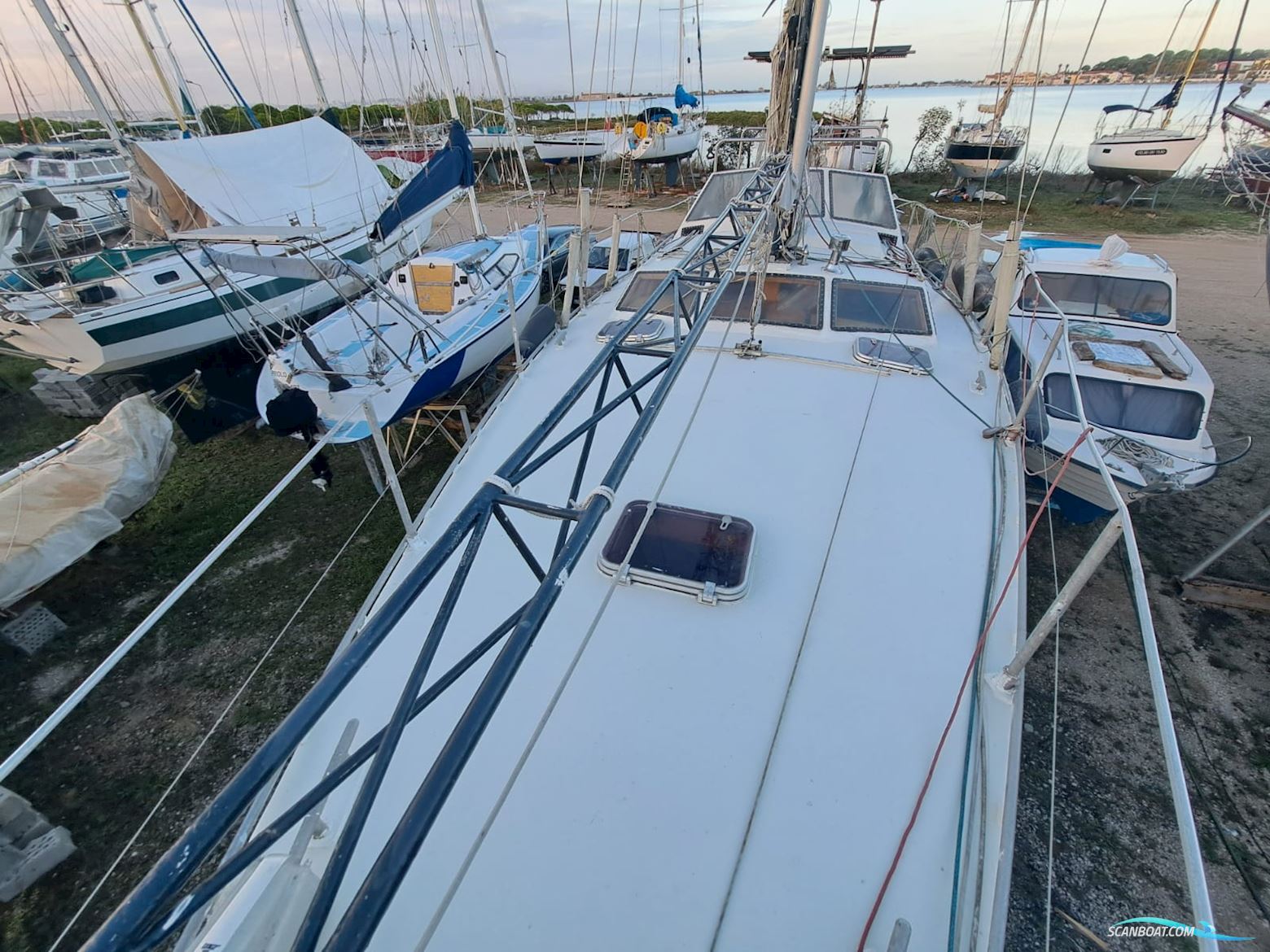 Reinke 13