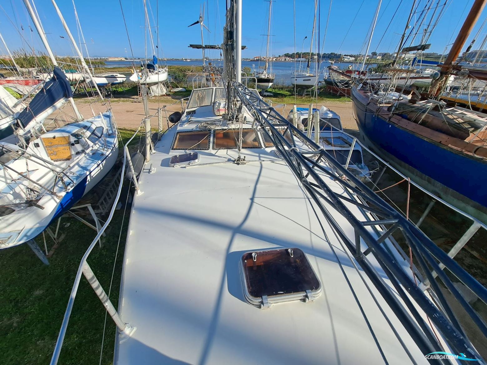 Reinke 13