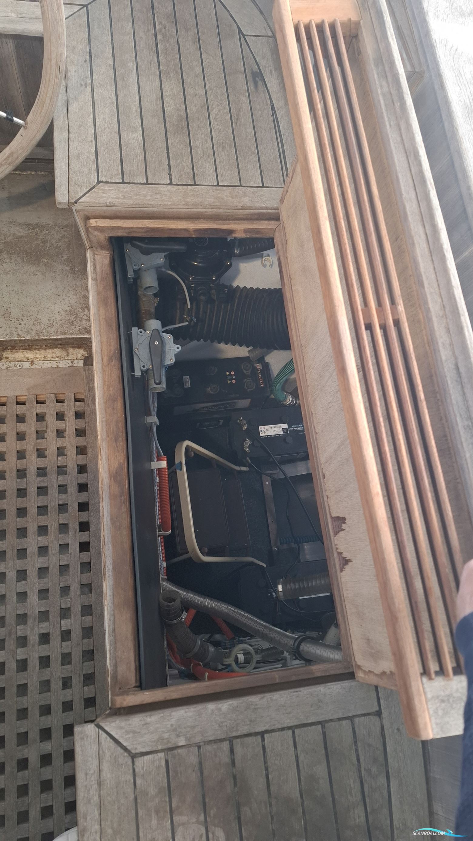 Reinke Hydra 50