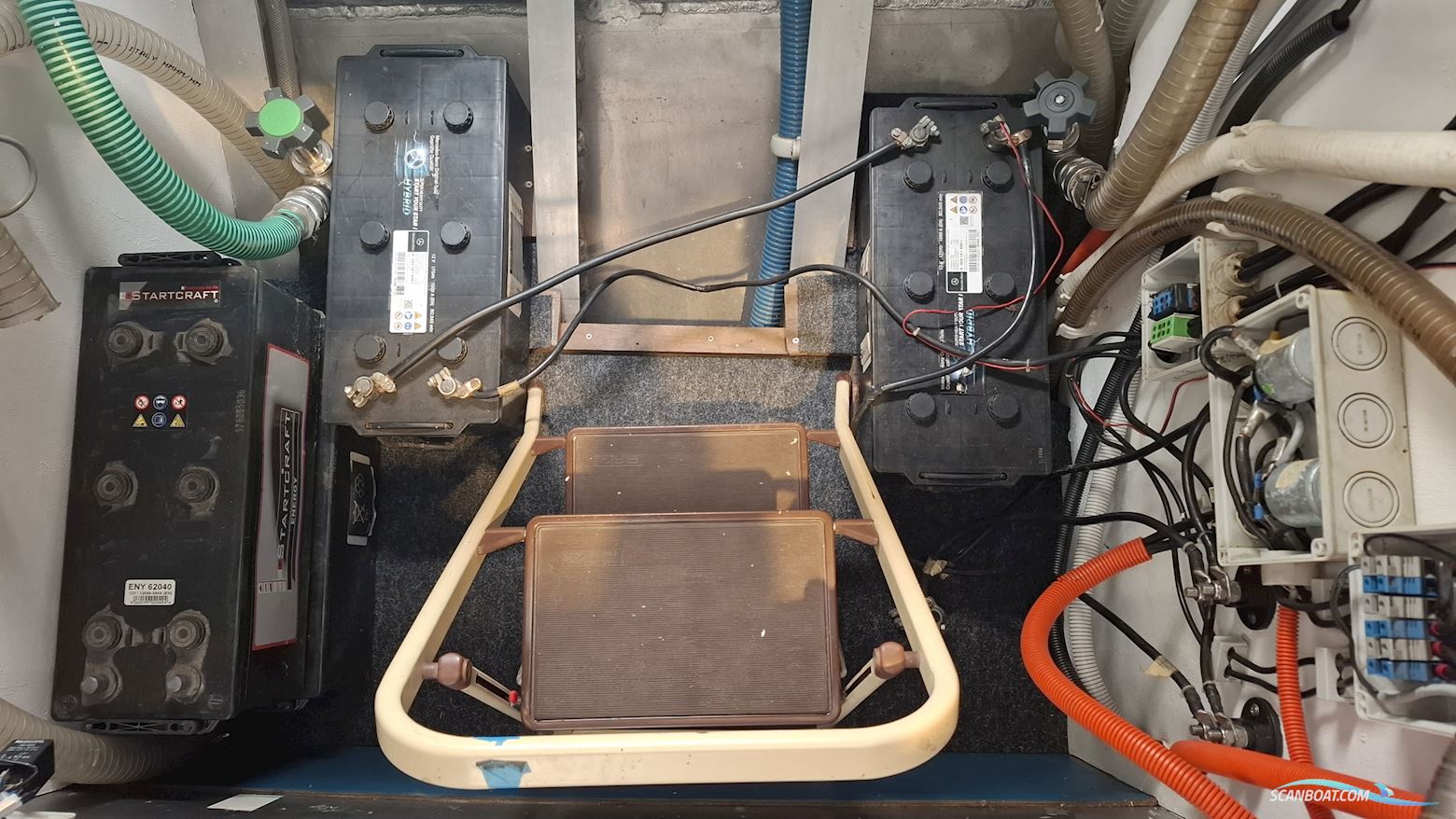 Reinke Hydra 50