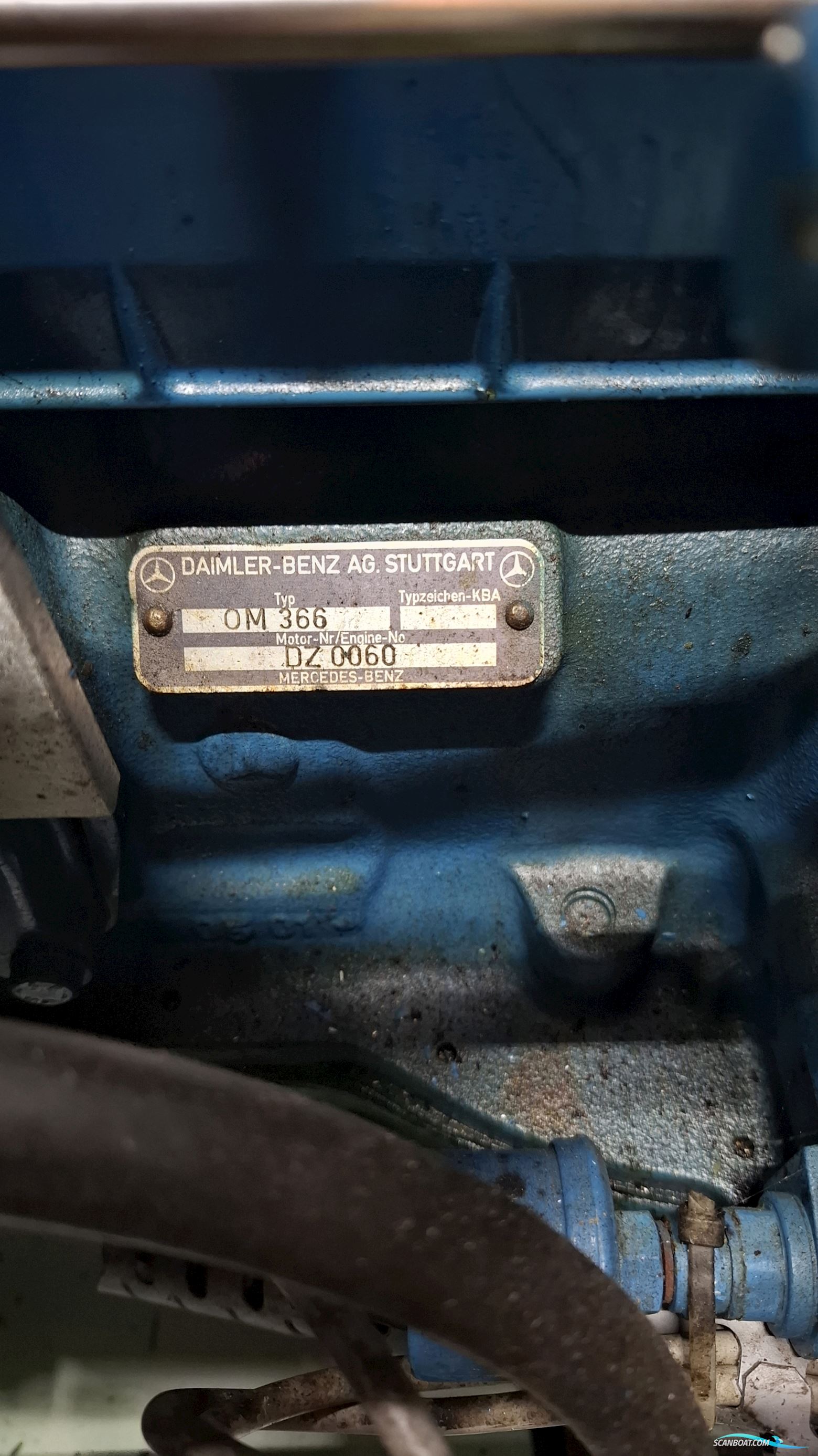 Reinke Hydra 50