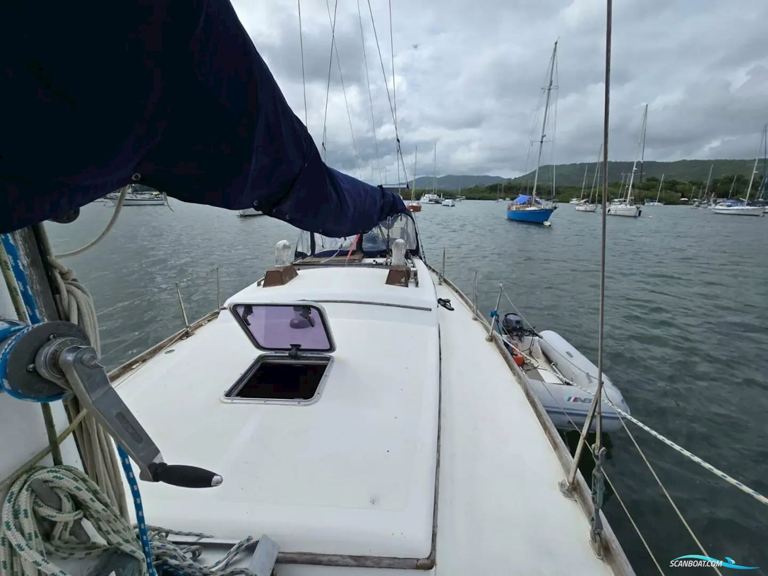 Reliance 44