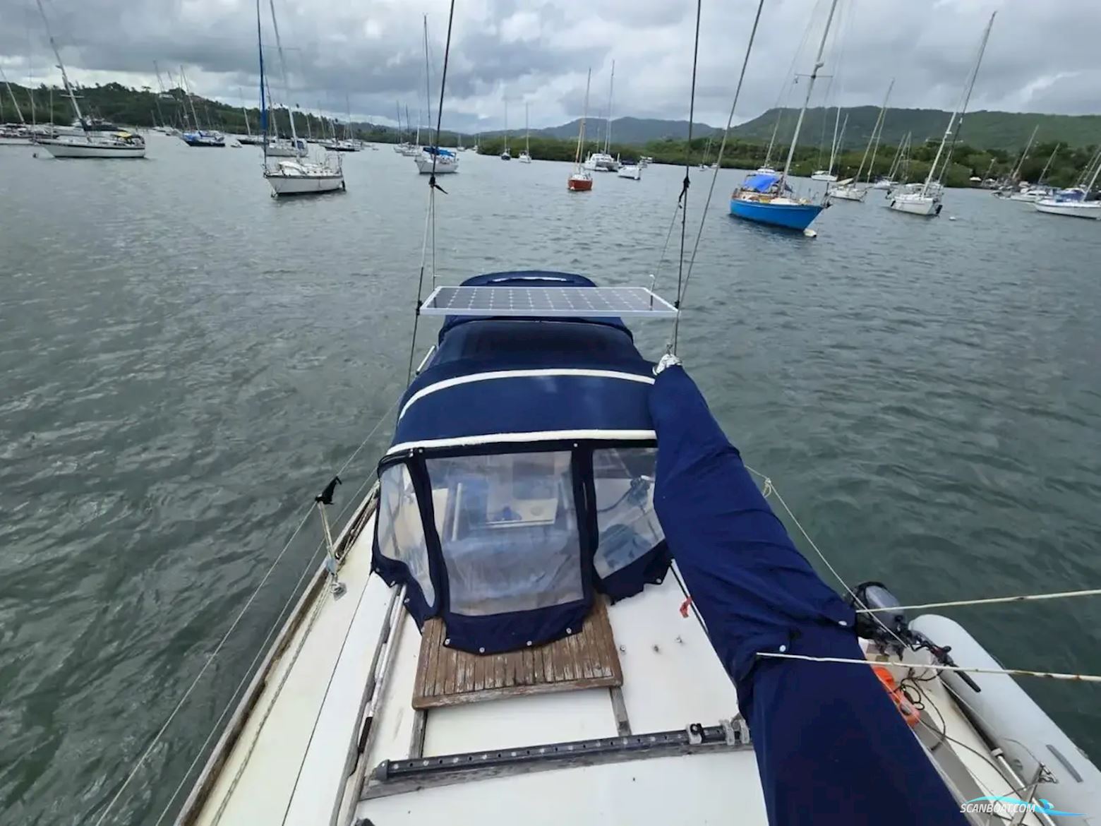 Reliance 44