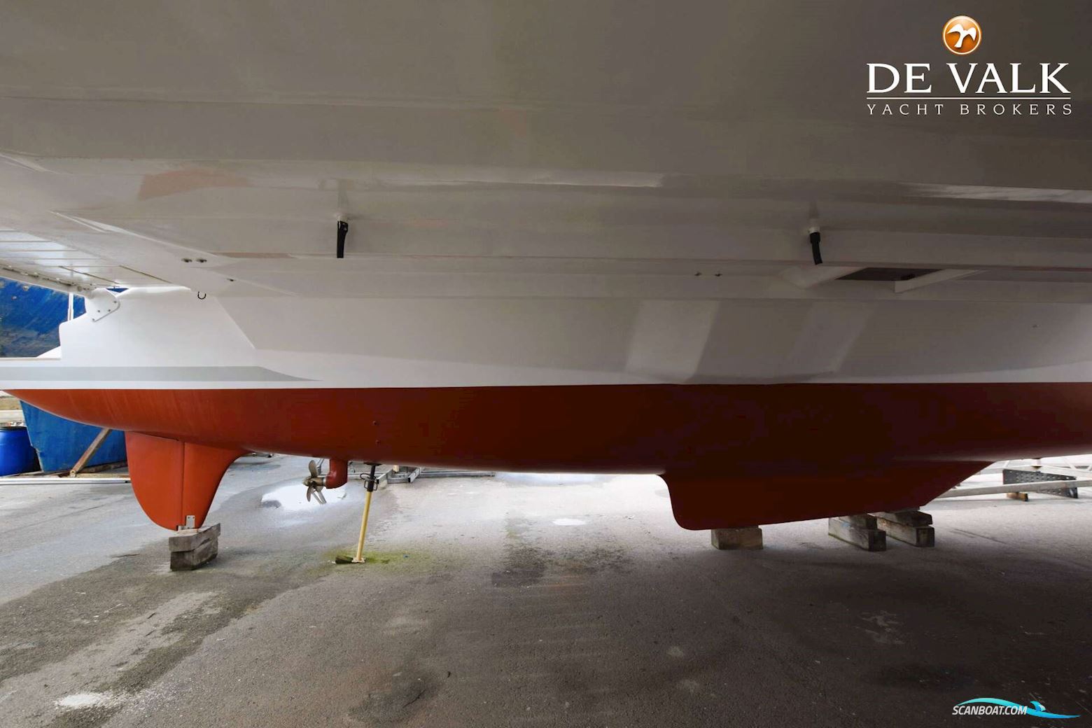 Robertson & Caine One off