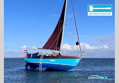 Rossiter Pintail 27 Zeilboten 1975, met Beta Marine motor, The Netherlands